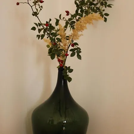 Kisbalazs Vendeghaz Apartment *